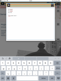 The text editor is too basic.
