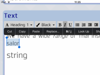 Trying to put a text in italic...