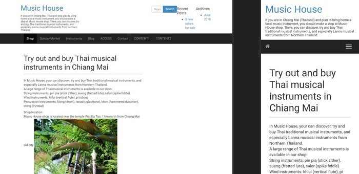 How does a website made with Smart Web Creator (Aadya theme) look like